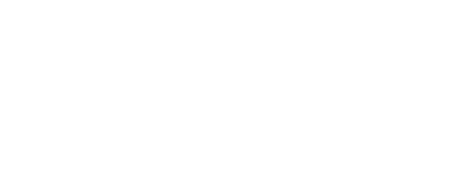 Sargus Security